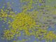 victime accidente de avion flightradar